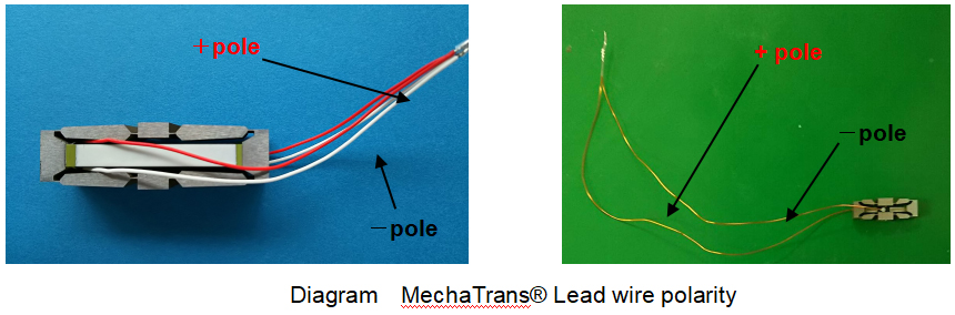 Diagram  MechaTrans® Lead wire polarity